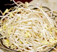 Bean sprouts