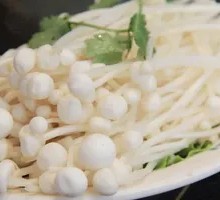 Enoki Mushroom