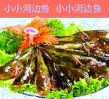 Fresh Yellow Catfish