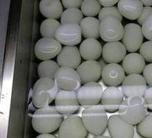 Quail Egg