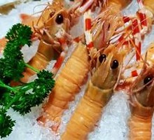 Lobster