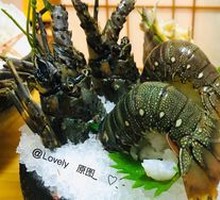 小青龙