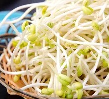 Bean sprouts