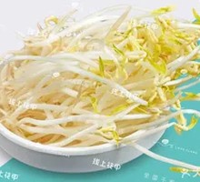 Bean sprouts
