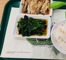 Scallion Oil Bok Choy