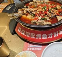 Spicy Cat Double Pepper Grilled Fish