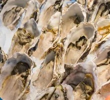 Fresh Seafood