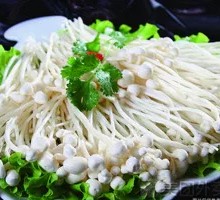 Enoki Mushroom