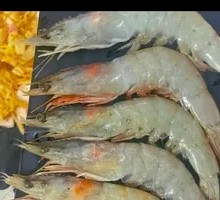 Dalian Air-Freighted Sea Shrimp