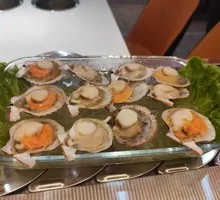 Scallop