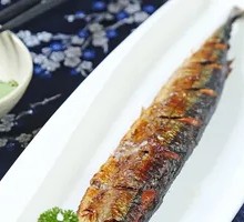 Sardine