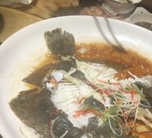 Turbot
