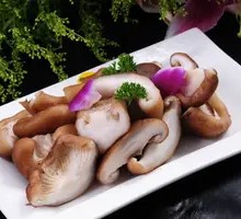 Shiitake Mushroom