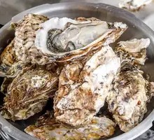 Steam Pot Oysters
