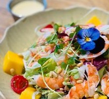 Abundant Fresh Shrimp and Mango Salad