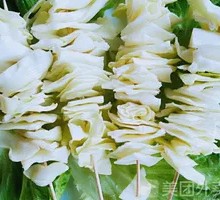 Flat Pack Cabbage