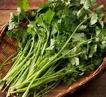 Cilantro Beef Strips