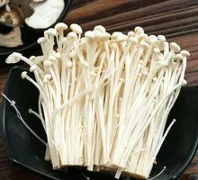 Enoki Mushroom