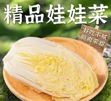 精品娃娃菜
