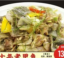 Ten-Year Old Softshell Turtle