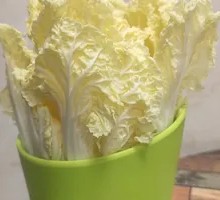Baby bok choy