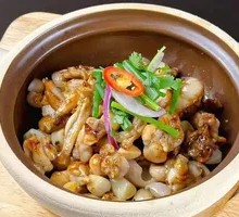 Bullfrog with Perilla in Clay Pot