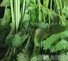 Cilantro