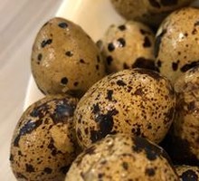Delicious Quail Eggs