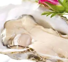 French Oyster Sashimi