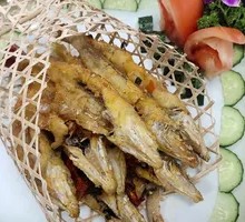 Salt and Pepper Sand Sardine