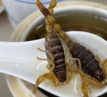 Scorpion and Codonopsis Chicken