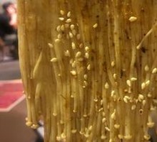 Grilled Enoki Mushrooms