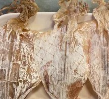 Dried Squid