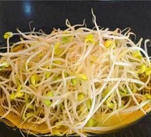 Mung Bean Sprouts