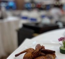 Hua Diao Pigeon