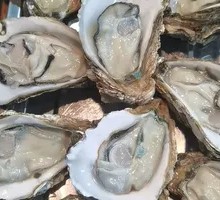 Fresh Oysters