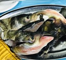 Fish Lips