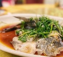 Steamed Tilapia