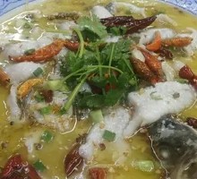 Sour Cabbage and Perch