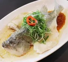 Steamed California Halibut