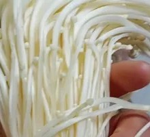 Enoki Mushroom