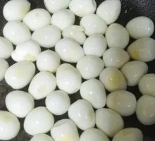 Vegetarian Dumplings