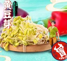 Mung Bean Sprouts