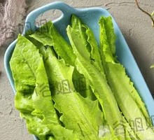 Oilseed lettuce