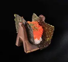 Flying Fish Roe Sushi Boat