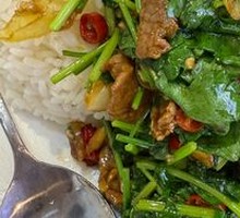 Stir-Fried Beef with Green Peppers Rice Bowl