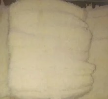 Salted Pepper King Oyster Mushroom