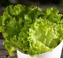 Lettuce