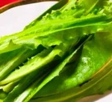 Fengwei Oil Lettuce