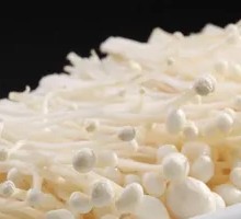 Enoki Mushroom